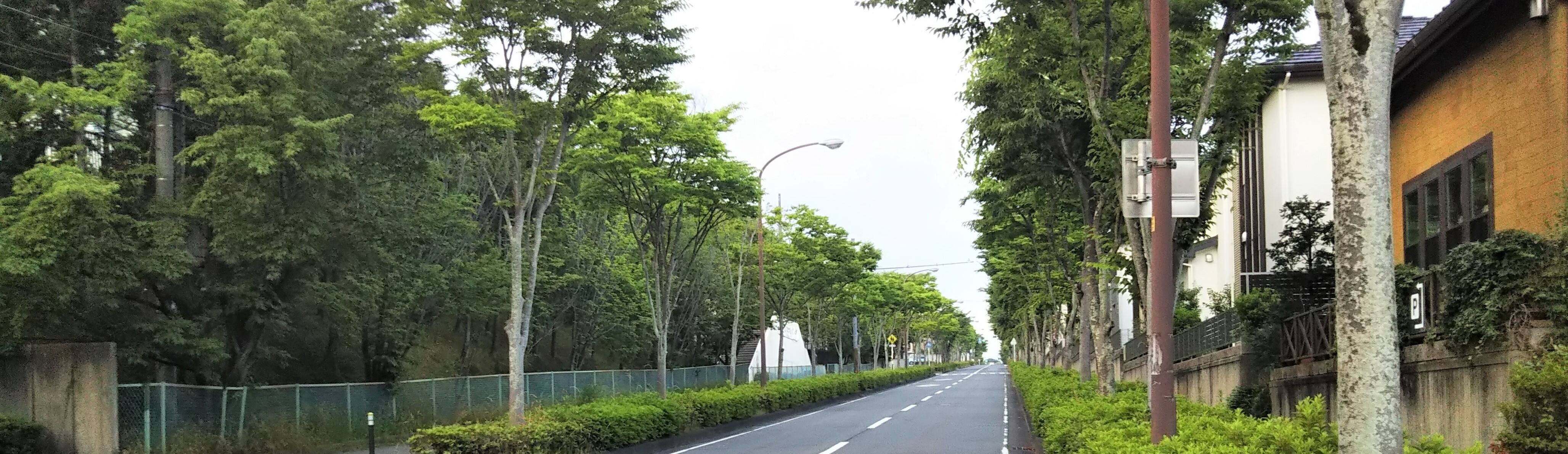 ご挨拶・最近の出来事